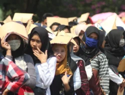Sering Dianggap Sepele, Ini Alasan Mengapa Lulusan SMA/SMK Justru Lebih Cepat Dapat Kerja Ketimbang Sarjana