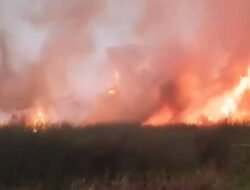 Karhutla Desa Galang Mempawah Kembali Muncul, Petugas Terkendala Minimnya Sumber Air