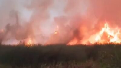 Karhutla Desa Galang Mempawah kembali terjadi pada Minggu (15/2/2026).