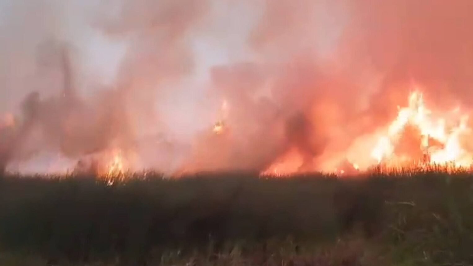 Karhutla Desa Galang Mempawah kembali terjadi pada Minggu (15/2/2026).