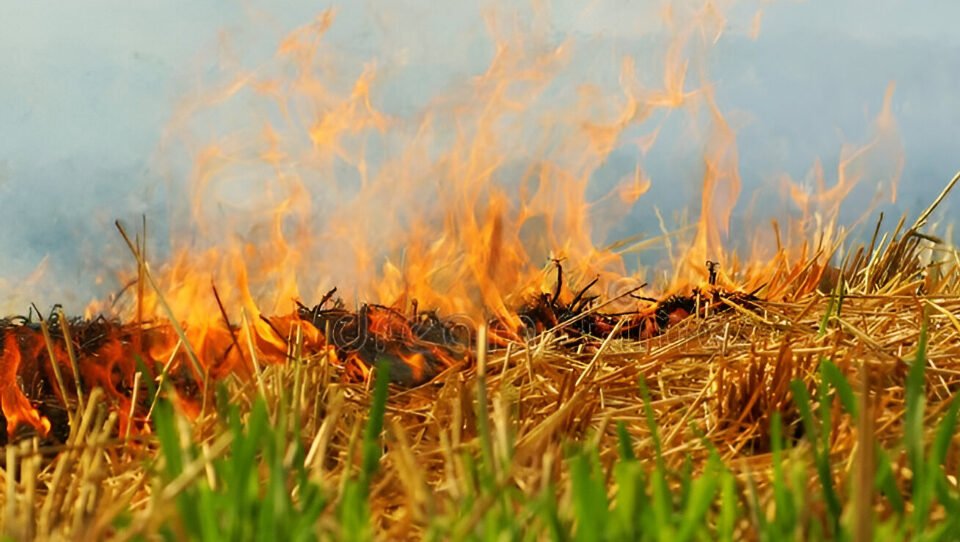 Ilustrasi - Kebakaran lahan melanda Jalan Objek Laut, Sungai Raya, Kubu Raya. Manggala Agni berjibaku memadamkan api yang mendekati kebun dan rumah warga. (Dok. Ist)