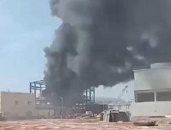 Kebakaran Landa Kawasan Smelter PT Borneo Alumina Prima di Ketapang