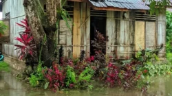 "Update banjir di Kabupaten Malaka, NTT yang merendam 30 rumah di tiga kecamatan. Kondisi terkini dilaporkan air sudah surut total per Sabtu, (14/2/2026)."
