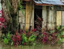 Banjir Rendam Tiga Kecamatan di Malaka NTT, 30 Rumah Warga Sempat Terdampak