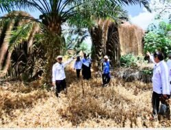 Simpan Legenda dan Formasi Unik, Camat Air Upas Siapkan Batu Menabak Jadi Wisata Unggulan