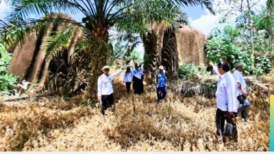 Camat Air Upas Samson Nopen bersama Kepala Desa Membuluh Baru dan tokoh masyarakat meninjau potensi wisata alam Batu Menabak Sarang Membuluh. (Dok. HO/Faktakalbar.id)