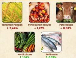 Potret Daya Beli Petani Kalbar Awal 2026: NTP Bertahan di Angka 167,99