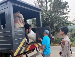 2,85 Ton Jagung Petani Singkawang Timur Masuk Gudang Bulog, Jalani Uji Kualitas