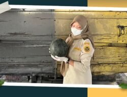 Tembus Pasar Luar Negeri, 25 Ton Semangka Aruk Diekspor Senilai Rp114 Juta