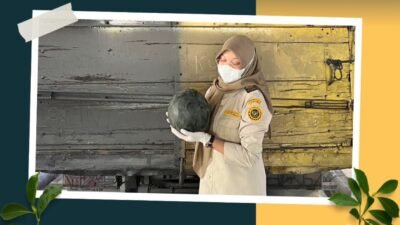 Petugas Karantina memeriksa kualitas fisik semangka segar berukuran besar sebelum dimuat ke dalam truk untuk diekspor melalui PLBN Aruk. (Dok. HO/Faktakalbar.id)