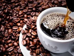 Mitos atau Fakta: Benarkah Minum Kopi Bikin Darah Tinggi Melonjak?