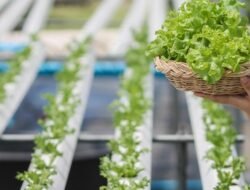 Bosan Menunggu Buka Puasa? Coba 4 Hal Produktif dan Unik Ini Saat Ngabuburit