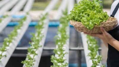 "Bingung mau ngapain sambil nunggu buka? Simak 4 kegiatan produktif dan unik bagi perempuan untuk mengisi waktu ngabuburit agar lebih bermanfaat."