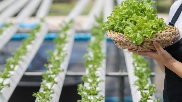 "Bingung mau ngapain sambil nunggu buka? Simak 4 kegiatan produktif dan unik bagi perempuan untuk mengisi waktu ngabuburit agar lebih bermanfaat."