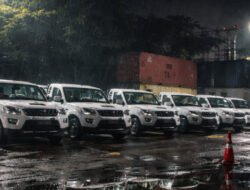 Membongkar Pembelian 105 Ribu Pikap asal India