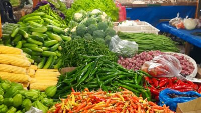 Ilustrasi - Bupati Kubu Raya Sujiwo temukan kenaikan harga bawang dan sayuran di Pasar Bahagia jelang Ramadan. Ia segera koordinasi dengan Gubernur untuk solusi. (Dok. Ist)