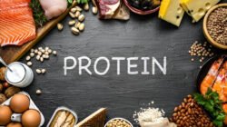 Ilustrasi - Telur rebus, dada ayam, ikan laut, maupun kacang-kacangan menawarkan kandungan asam amino yang memperbaiki jaringan sel selama berpuasa. (Dok. Ist)