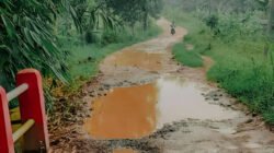 Ilustrasi - Warga Gang Sutra Ngabang memperbaiki jalan rusak menggunakan dana pribadi demi keselamatan anak sekolah. Mereka mendesak pengaspalan segera. (Dok. Ist)