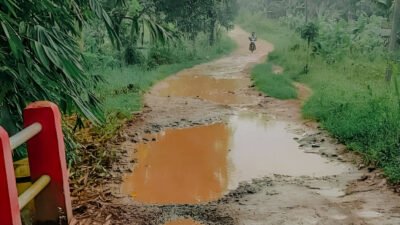 Ilustrasi - Warga Gang Sutra Ngabang memperbaiki jalan rusak menggunakan dana pribadi demi keselamatan anak sekolah. Mereka mendesak pengaspalan segera. (Dok. Ist)