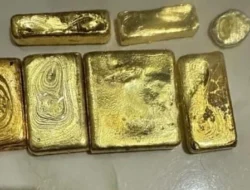 Jaringan Emas PETI Melawi Bernilai Ratusan Miliar per Bulan, milik AS cukong emas ilegal dan bauksit