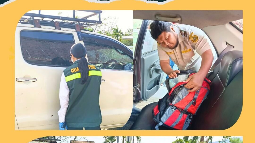 Petugas Karantina Kalimantan Barat sedang melakukan pemeriksaan intensif terhadap tas dan bagasi mobil penumpang di Pos Lintas Batas Negara (PLBN). (Dok. HO/Faktakalbar.id)