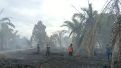Petugas gabungan BPBD berupaya memadamkan api yang membakar puluhan hektar lahan gambut di Desa Pemuka, Aceh Singkil.