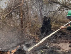 Karhutla Kembali Muncul di Rasau Jaya, 20 Personel Gabungan Diterjunkan ke Lokasi