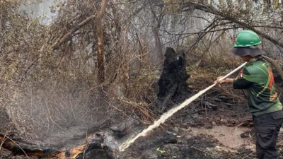"Titik karhutla kembali terdeteksi di Rasau Jaya, Kubu Raya pada Jumat, (13/2/2026). Sebanyak 20 personel gabungan dikerahkan untuk pemadaman cepat."