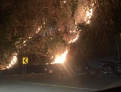 Angin Kencang Picu Karhutla Parigi Moutong, Api Jalar Cepat ke Kebun Warga