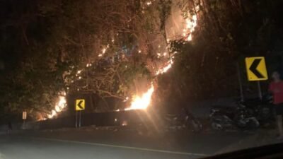 Karhutla melanda area perkebunan warga di wilayah Kabupaten Parigi Moutong, Provinsi Sulawesi Tengah, Rabu (25/2). Sumber foto : BPBD Kabupaten Parigi Moutong.