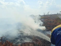 Titik Api Muncul di Lahan Gambut Pulau Maya, Aktivitas Pemburu Liar dan Cuaca Ekstrem Jadi Sorotan