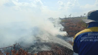 "Titik api muncul di lahan gambut Pulau Maya, Kayong Utara. BMKG peringatkan cuaca ekstrem dan angin kencang. Polisi selidiki pemilik lahan dan dugaan kelalaian pemburu liar."