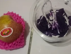 Realisasi Anggaran MBG Dipertanyakan, SPPG Indramayu Disanksi Tutup Imbas Menu “Apel dan Ubi”