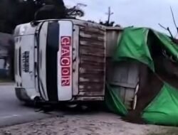 Angkut Bungkil Sawit, Truk Alami Kecelakaan Tunggal dan Terbalik di Kecamatan Balai Sanggau