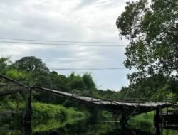 Kondisi Memprihatinkan, Jembatan Dusun Sungai Layang I Terancam Roboh