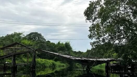 Kondisi Jembatan Dusun Sungai Layang I penghubung Desa Sungai Segak di Kecamatan Sebangki, Kabupaten Landak, yang tampak miring dan nyaris roboh.