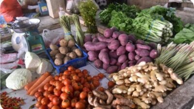 Bupati Kubu Raya Sujiwo meninjau kenaikan harga sayuran dan kebutuhan pokok di Pasar Bahagia Desa Kuala Dua. (Dok. HO/Faktakalbar.id)