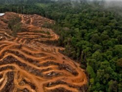 Panduan Membuat CV Melamar Kerja di Perusahaan Sawit