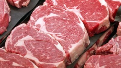 "Penderita asam urat harus waspada saat memilih menu takjil. Hindari daftar makanan pemicu nyeri sendi ini agar ibadah puasa tetap lancar tanpa hambatan. "