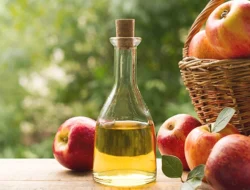 6 Manfaat Cuka Apel untuk Kesehatan Tubuh yang Wajib Anda Ketahui