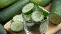 "Sering disisihkan saat makan pecel lele? Ternyata mentimun punya segudang khasiat. Simak 4 manfaat mentimun untuk diet hingga kulit glowing di sini."