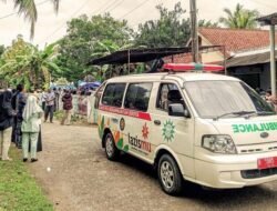 Masinis di Cilacap Tewas Akibat Sengatan Massal Tawon Vespa Saat Bersihkan Toren Air