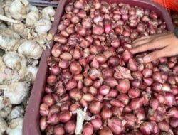 Minyak Goreng Stabil, Tapi Kok Bawang Merah Susah Dicari? Ini Kata Pedagang