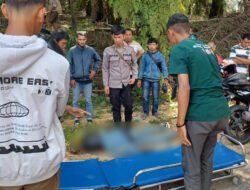 Pengendara Motor Meninggal Dunia Usai Tabrak Pohon Sawit di Jalan Raya Bodok–Sanggau