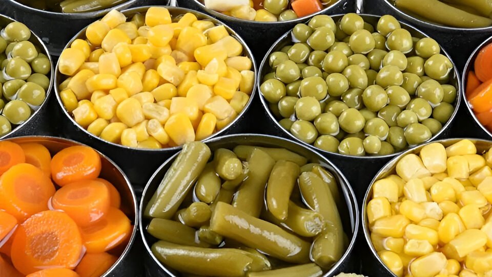 Ilustrasi - Terapkan cara menyimpan menu takjil yang benar agar makanan tetap awet. Panduan ini menjaga kualitas makanan sisa berbuka puasa untuk waktu sahur. (Dok. Ist)