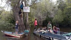 Tim gabungan menyusuri kawasan hutan rawa menggunakan perahu untuk memasang papan larangan aktivitas pertambangan emas tanpa izin di Desa Lubuk Pengail, kawasan Taman Nasional Danau Sentarum, Rabu (11/2/2026).