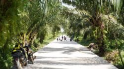 Potret salah satu akses jalan di Pontianak Utara yang telah ditingkatkan kualitasnya untuk mendukung mobilitas masyarakat dan sektor pertanian. (Dok. HO/Faktakalbar.id)