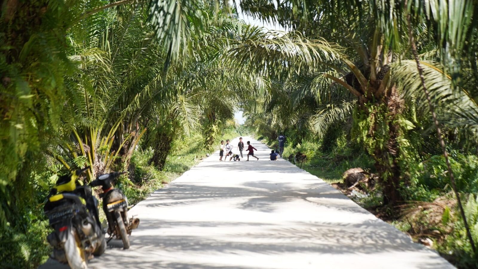 Potret salah satu akses jalan di Pontianak Utara yang telah ditingkatkan kualitasnya untuk mendukung mobilitas masyarakat dan sektor pertanian. (Dok. HO/Faktakalbar.id)