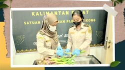 Petugas Karantina Kalbar memeriksa bibit bawang daun ilegal asal Malaysia yang ditahan di laboratorium PLBN Entikong. (Dok. HO/Faktakalbar.id)