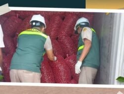 Kirim 15 Ton Jengkol Pontianak ke Jakarta, Karantina Pastikan Bebas OPTK